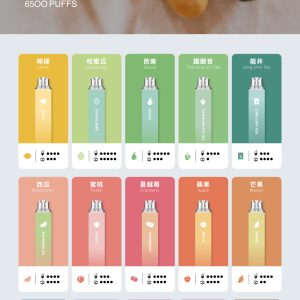 2025.06電子菸主機_水果口味拋棄式